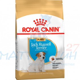 Royal Canin JACK RUSSELL JUNIOR для щенков породы терьер Джека Рассела