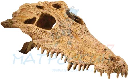 Hagen убежище-декор череп крокодила для террариума