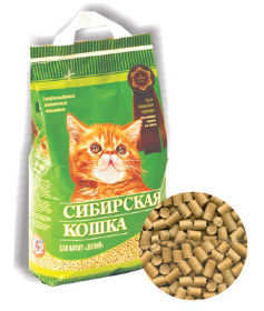  Сибирская кошка для котят Лесной