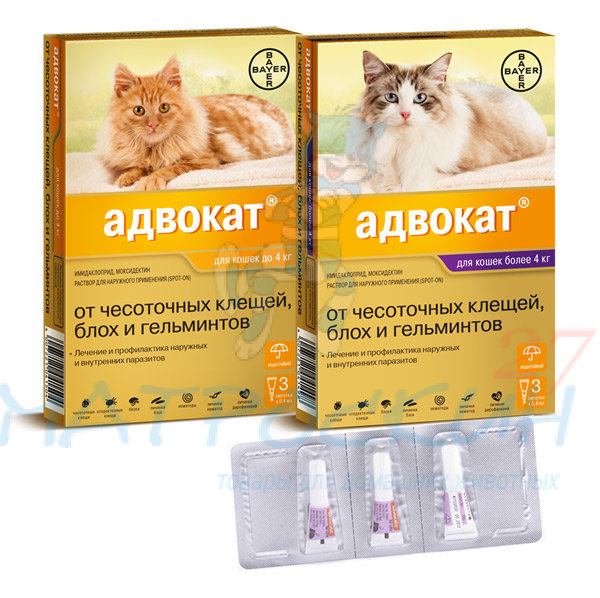 Купить Advocate Капли от блох, клещей для кошек 4-8кг 1 пипетка по цене 800  руб. онлайн, в интернет-магазине зоотоваров Матроскин 27