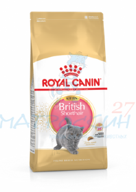 Royal Canin KITTEN BRITISH SHORTHAIR для котят породы британская короткошерстная