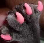 Царапки для кошек - цвет розовый 