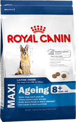 Royal Canin MAXI AGEING 8+ для собак крупных пород (старше 8 лет)