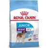 Royal Canin GIANT JUNIOR для щенков гигантских пород (от 8 до 18 мес)