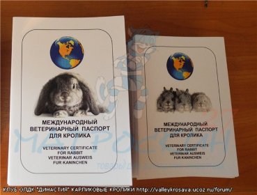 Intervet паспорт вакцинации для кроликов 