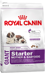 Royal Canin GIANT STARTER (для щенков гигантских пород и кормящих сук)
