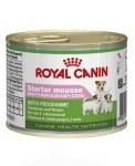Royal Canin STARTER MOUSSE для щенков (от момента отъема до 2 мес)